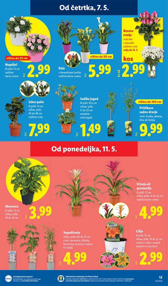 Lidl catalog page 25 — 2026-05-07 to 2026-05-17