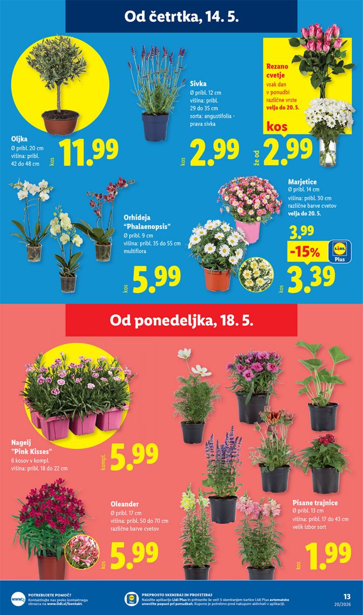 Lidl catalog page 33 — 2026-05-14 to 2026-05-24