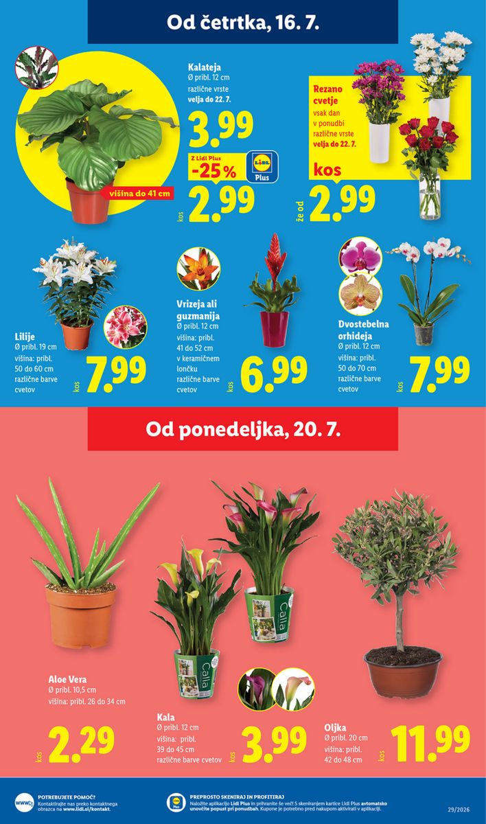 Lidl catalog page 29 — 2026-07-16 to 2026-07-22