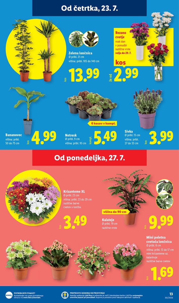 Lidl catalog page 31 — 2026-07-23 to 2026-07-29