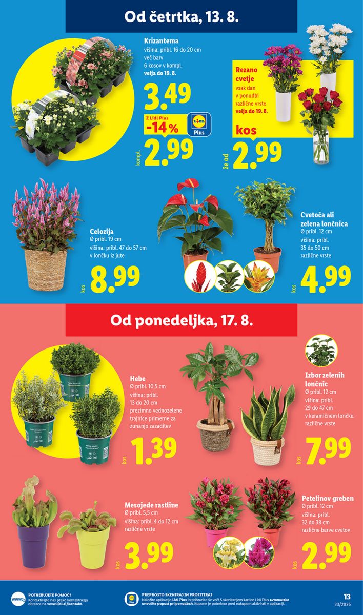 Lidl catalog page 21 — 2026-08-13 to 2026-08-19