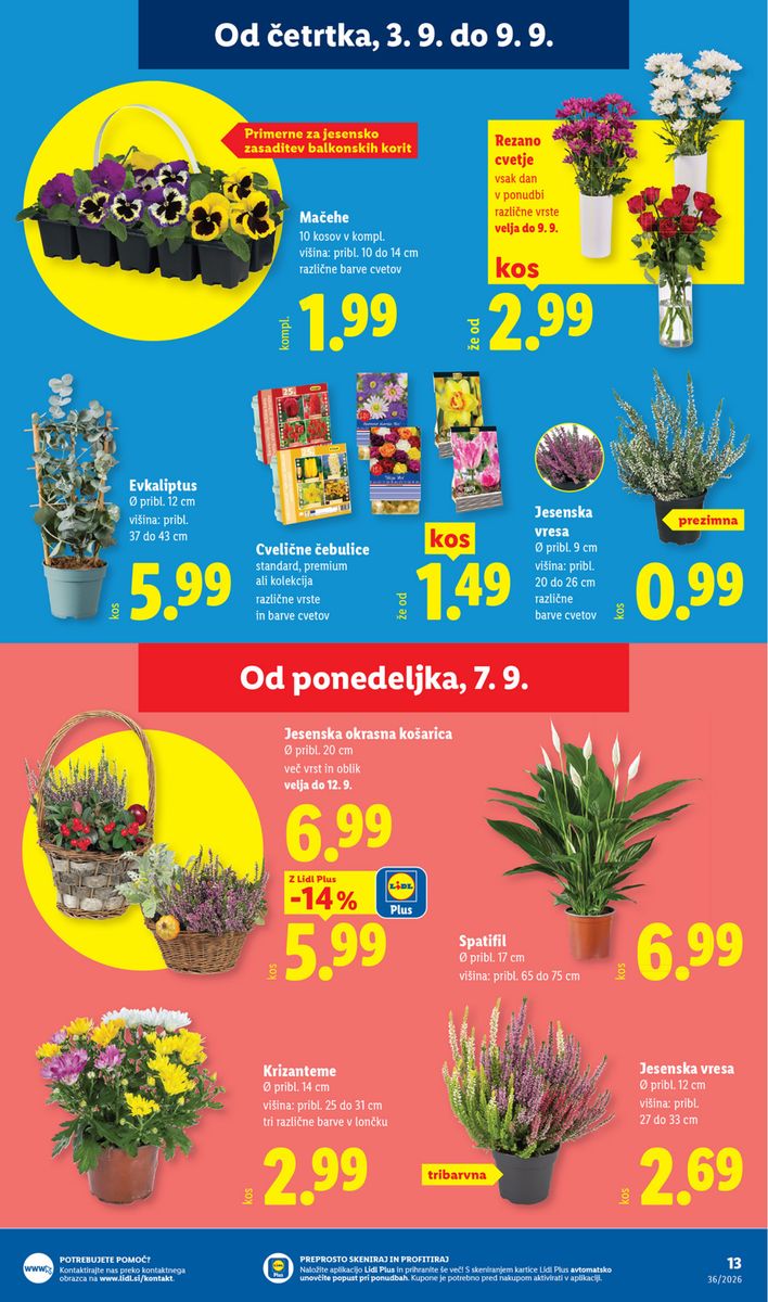 Lidl catalog page 23 — 2026-09-03 to 2026-09-09