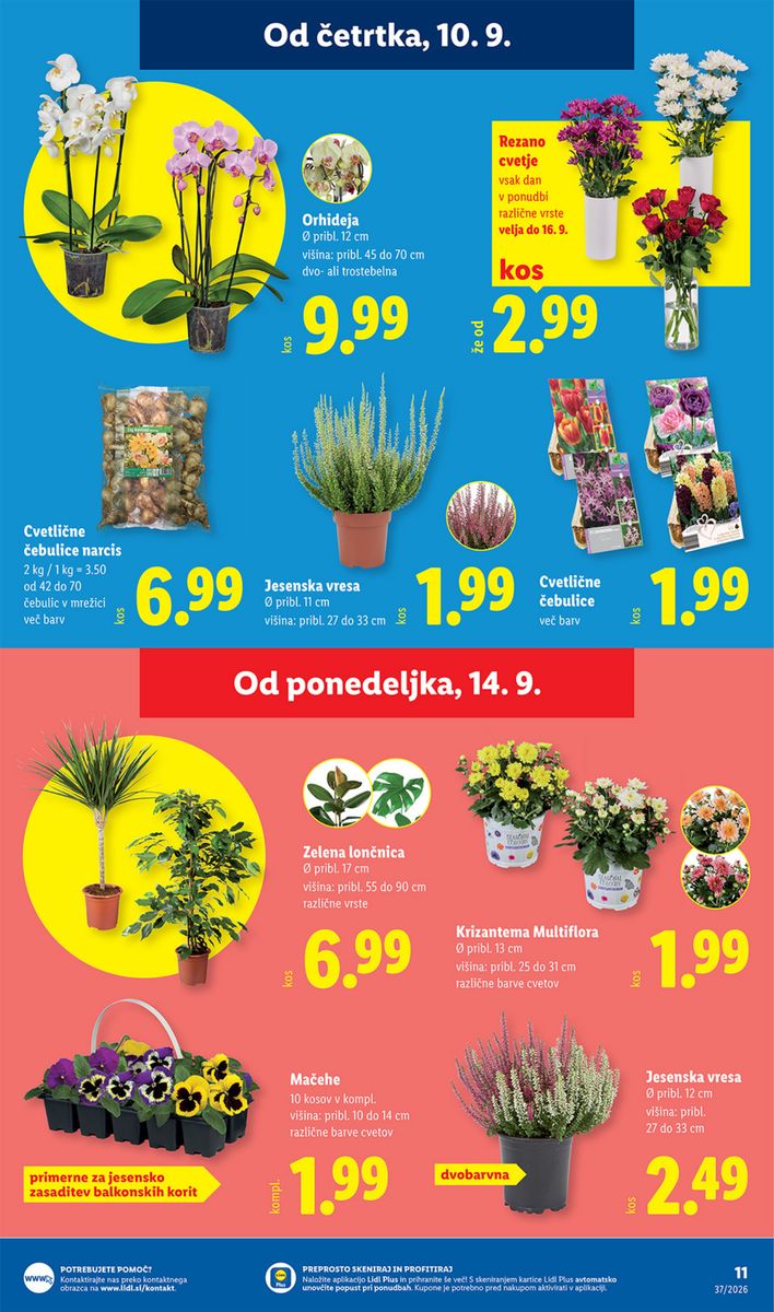 Lidl catalog page 17 — 2026-09-10 to 2026-09-16