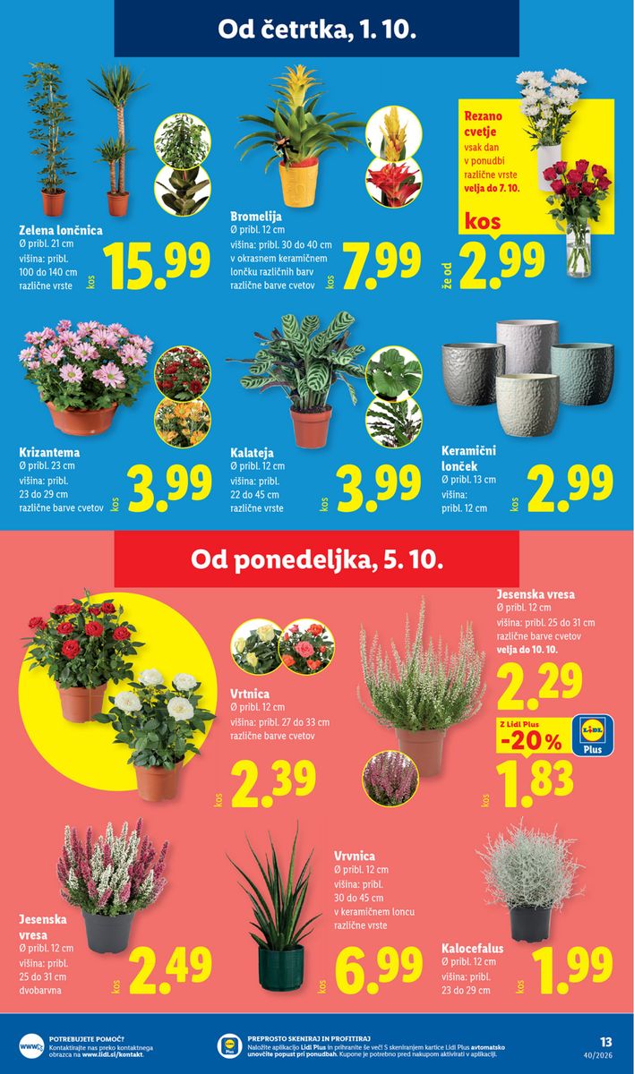 Lidl catalog page 21 — 2026-10-01 to 2026-10-07