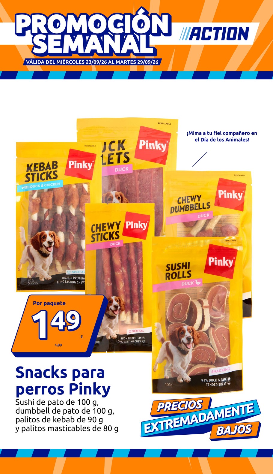 Action catalog cover