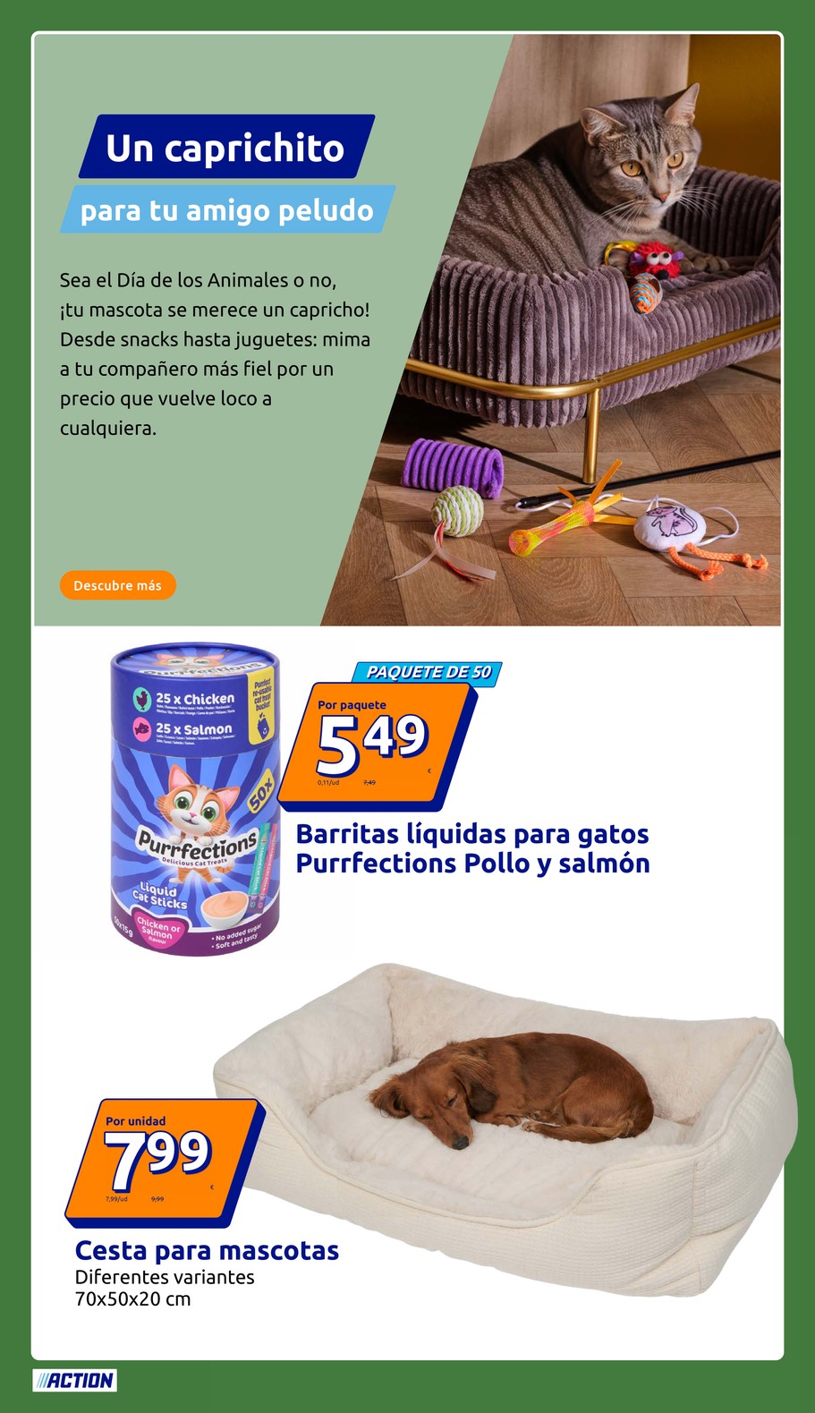 Action catalog page 36 — 2026-09-30 to 2026-10-06