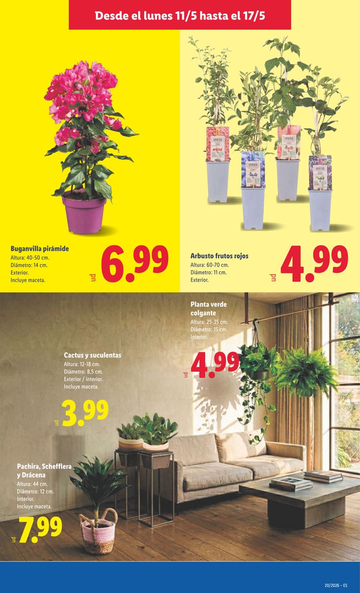 Lidl catalog page 43 — 2026-05-11 to 2026-05-17