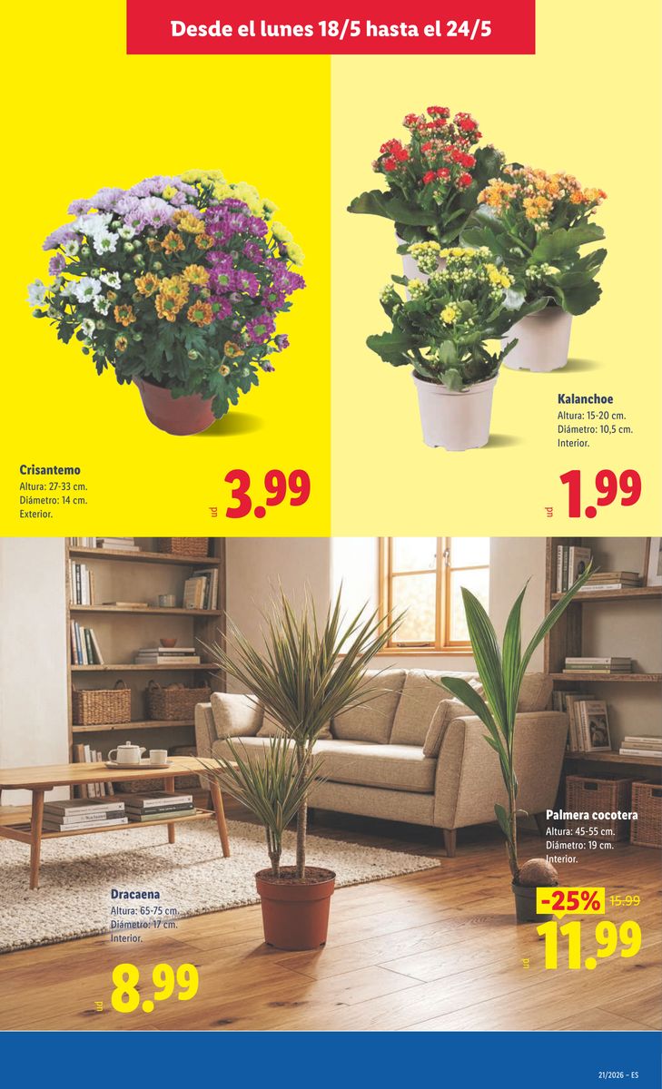 Lidl catalog page 49 — 2026-05-18 to 2026-05-24