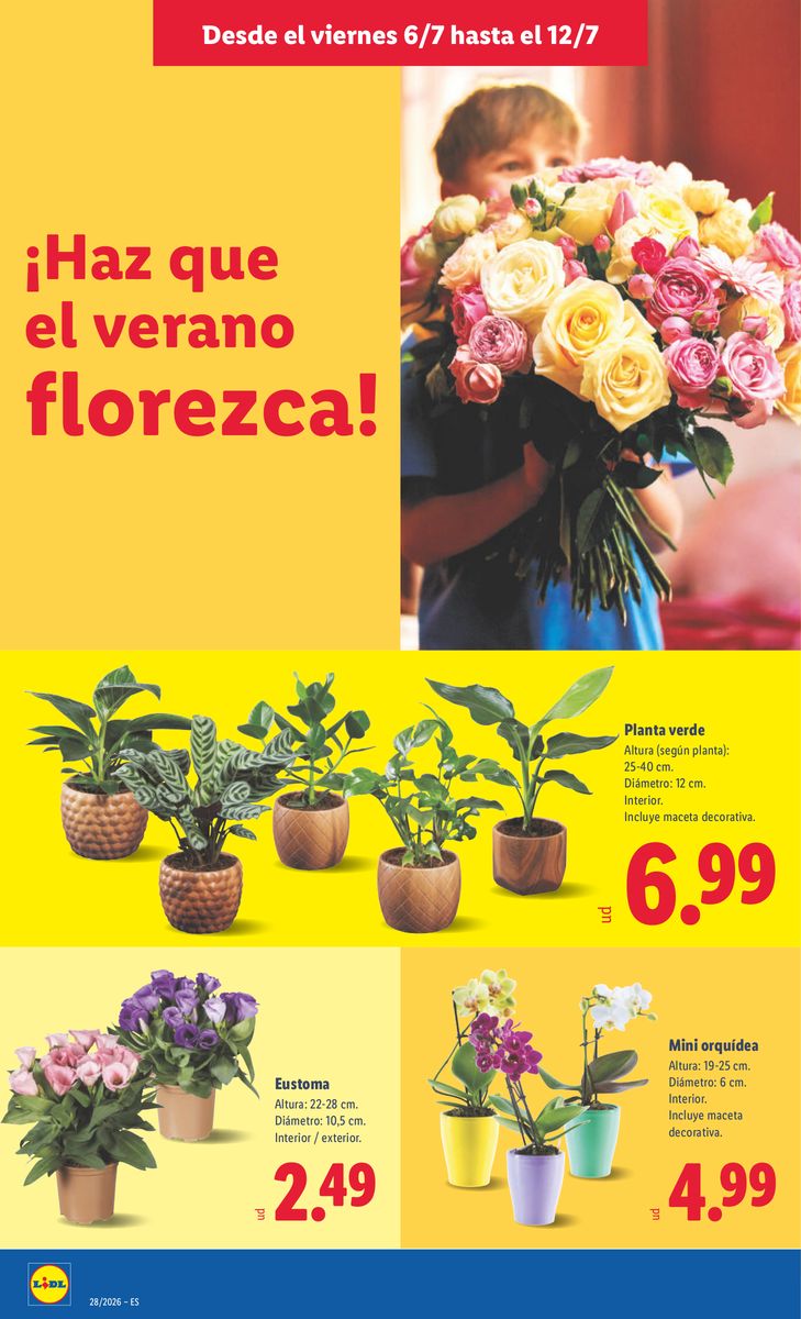 Lidl catalog page 58 — 2026-07-06 to 2026-07-12
