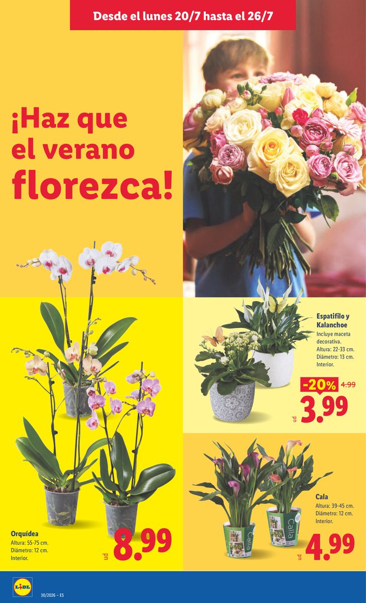 Lidl catalog page 48 — 2026-07-20 to 2026-07-26