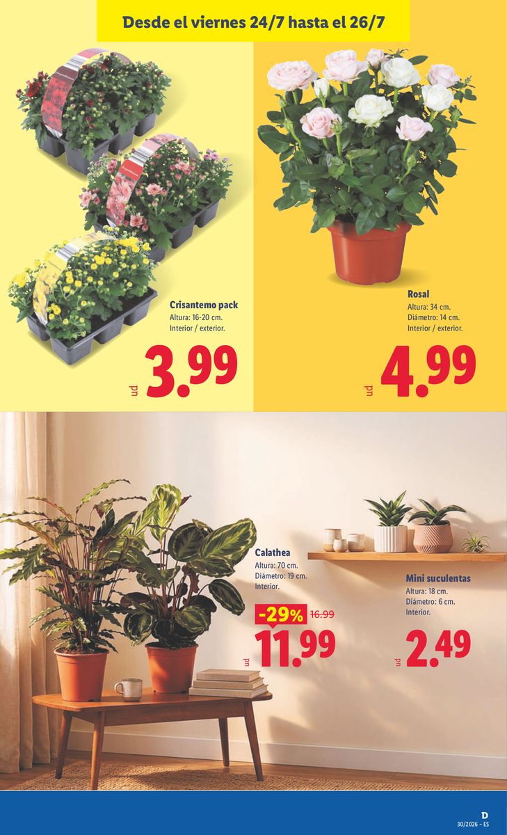 Lidl catalog page 49 — 2026-07-20 to 2026-07-26