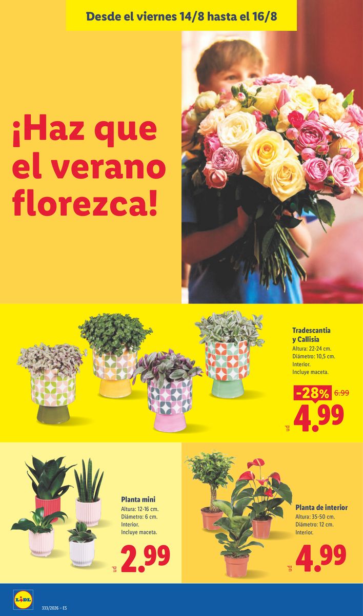 Lidl catalog page 56 — 2026-08-10 to 2026-08-16