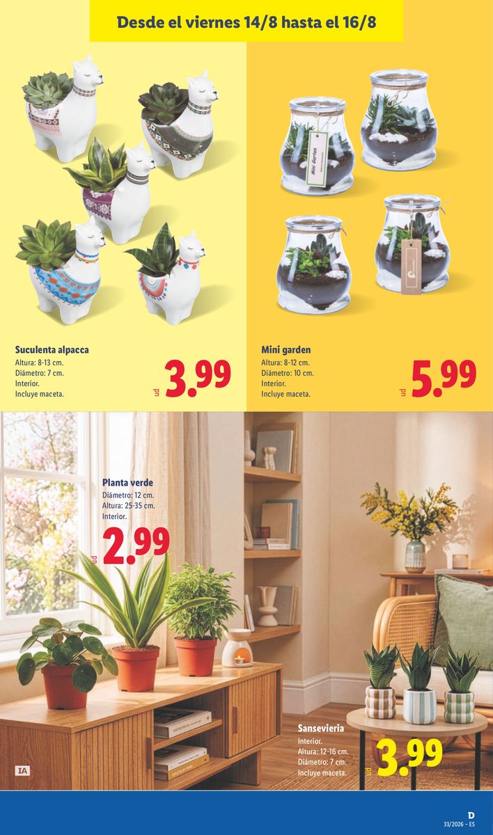 Lidl catalog page 57 — 2026-08-10 to 2026-08-16