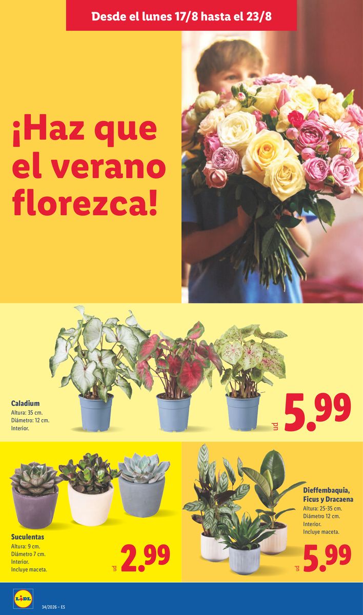 Lidl catalog page 48 — 2026-08-17 to 2026-08-23