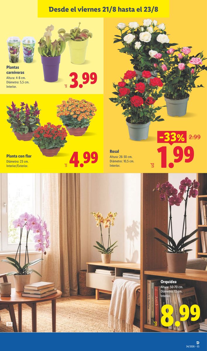 Lidl catalog page 49 — 2026-08-17 to 2026-08-23
