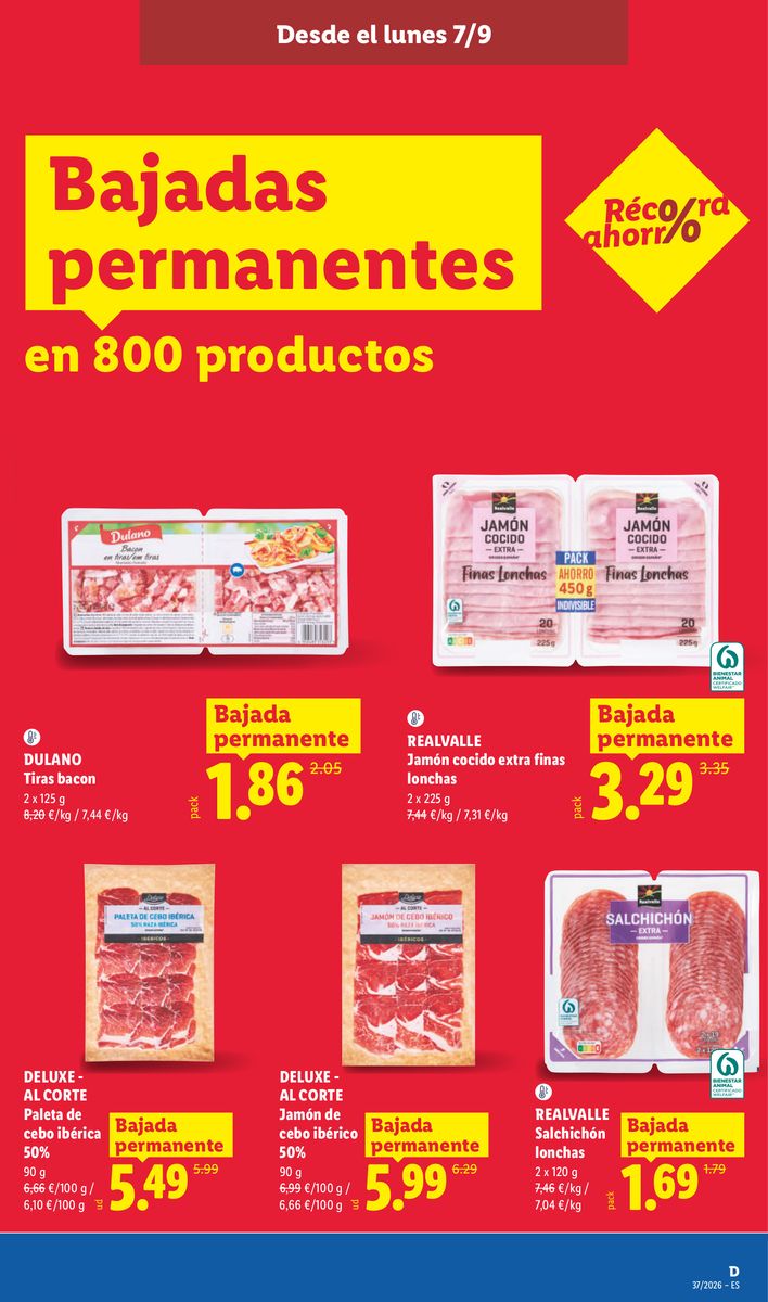 Lidl catalog page 31 — 2026-09-07 to 2026-09-13