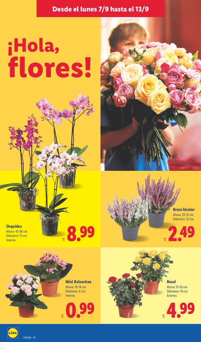 Lidl catalog page 54 — 2026-09-07 to 2026-09-13
