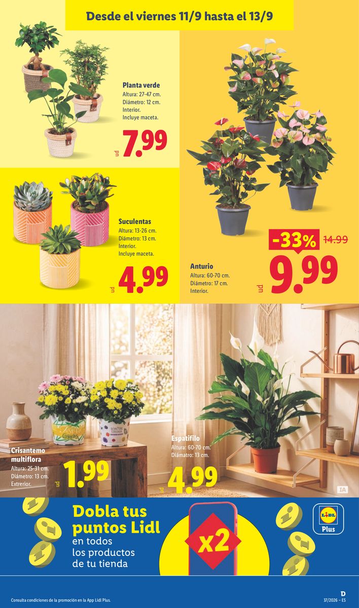 Lidl catalog page 55 — 2026-09-07 to 2026-09-13