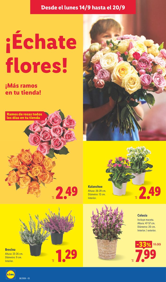 Lidl catalog page 48 — 2026-09-14 to 2026-09-20