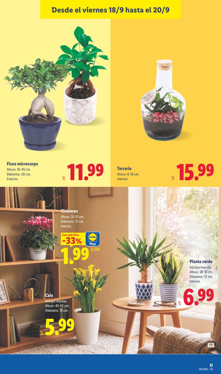 Lidl catalog page 49 — 2026-09-14 to 2026-09-20