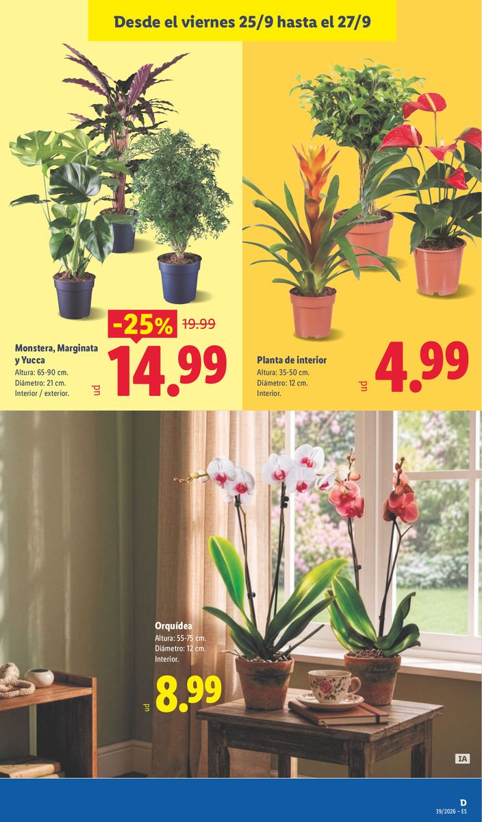 Lidl catalog page 49 — 2026-09-21 to 2026-09-27