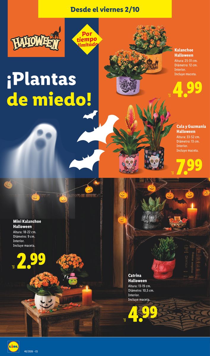 Lidl catalog page 14 — 2026-10-02 to 2026-10-25