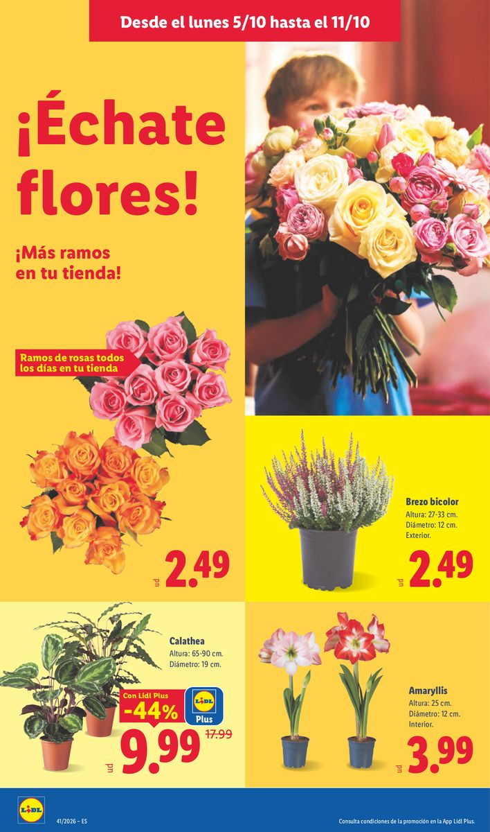 Lidl catalog page 50 — 2026-10-05 to 2026-10-11