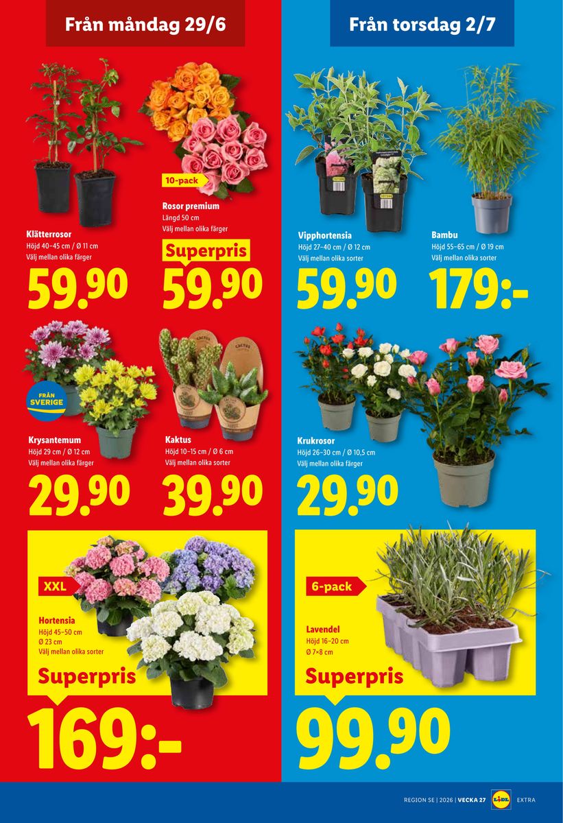 Lidl catalog page 22 — 2026-06-29 to 2026-07-05