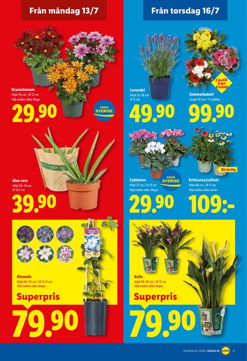 Lidl catalog page 22 — 2026-07-13 to 2026-07-19