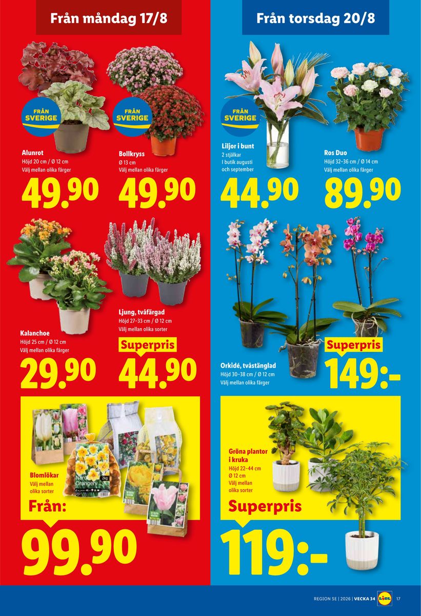 Lidl catalog page 23 — 2026-08-17 to 2026-08-23