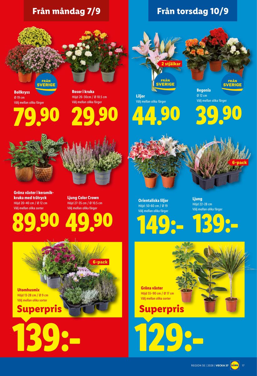 Lidl catalog page 24 — 2026-09-07 to 2026-09-13