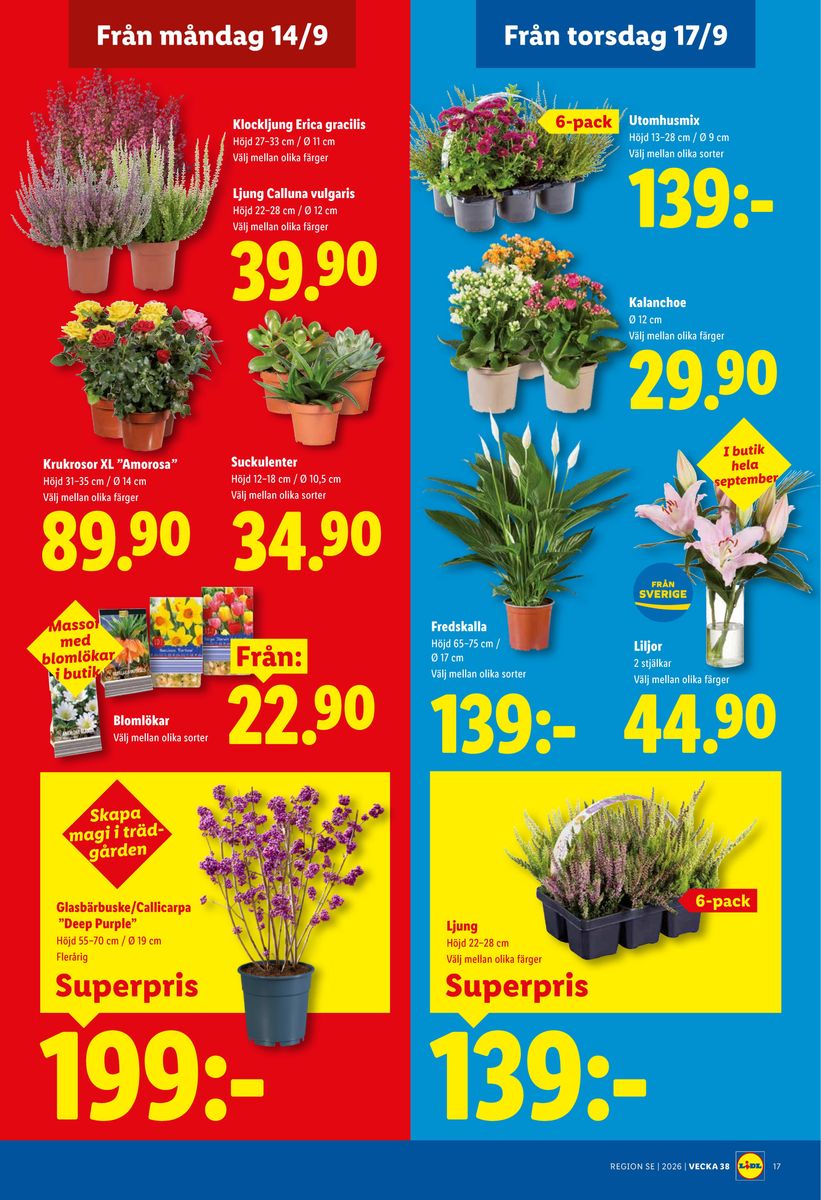 Lidl catalog page 22 — 2026-09-14 to 2026-09-20