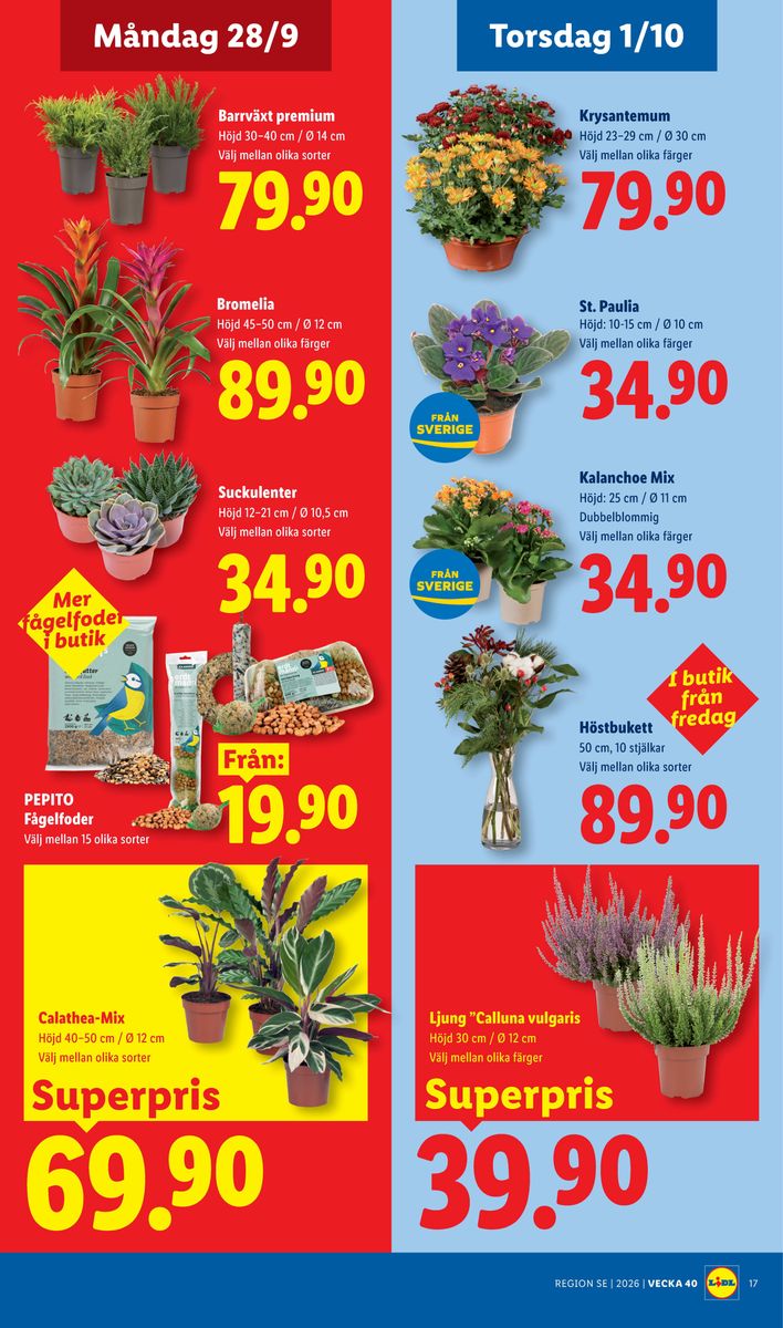 Lidl catalog page 22 — 2026-09-28 to 2026-10-04