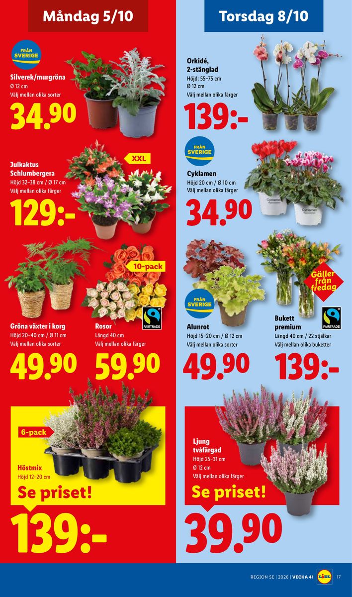 Lidl catalog page 24 — 2026-10-05 to 2026-10-11