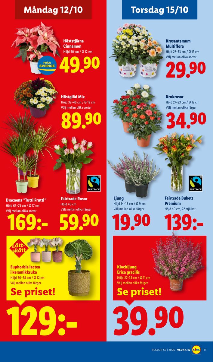 Lidl catalog page 24 — 2026-10-12 to 2026-10-18