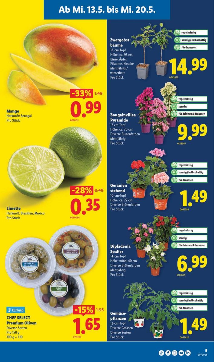Lidl catalog page 5 — 2026-05-13 to 2026-05-20