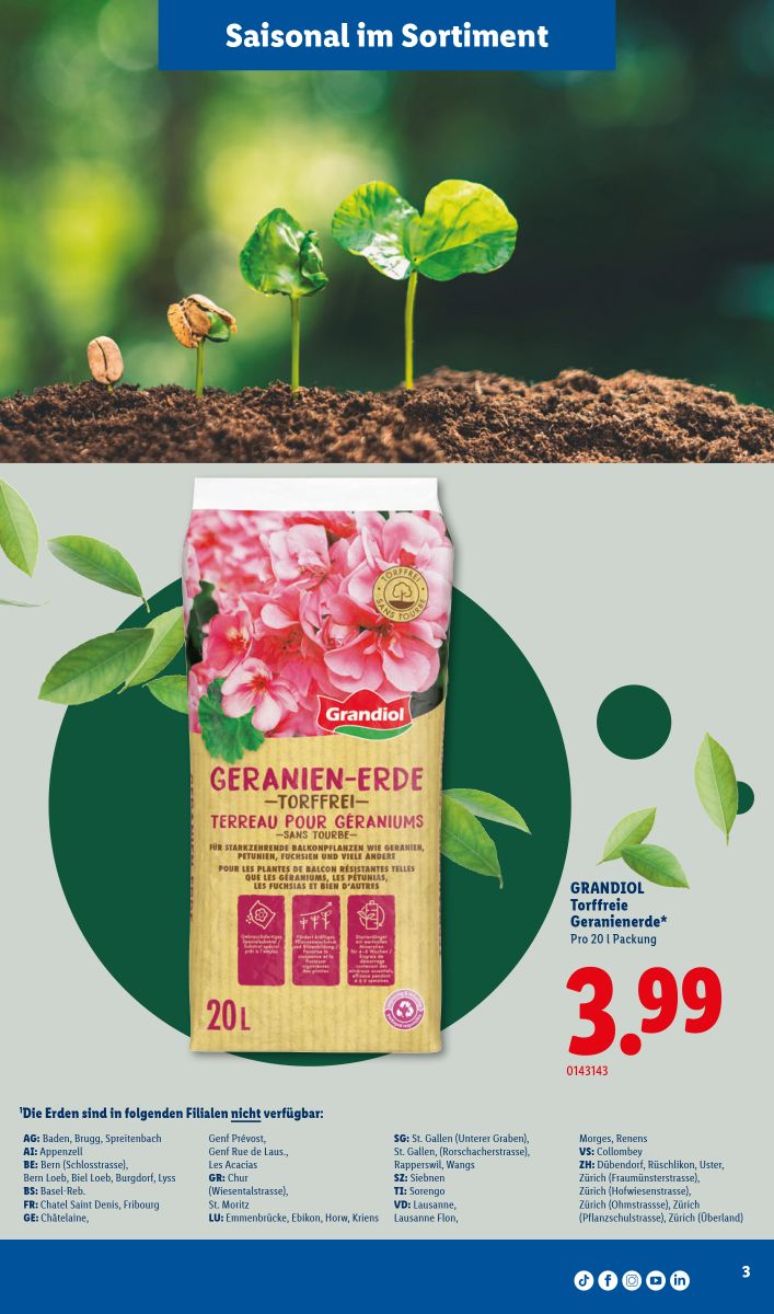 Lidl catalog page 36 — 2026-06-25 to 2026-07-01