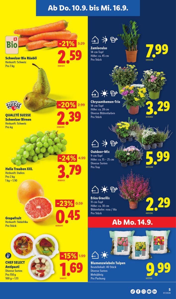 Lidl catalog page 5 — 2026-09-10 to 2026-09-16