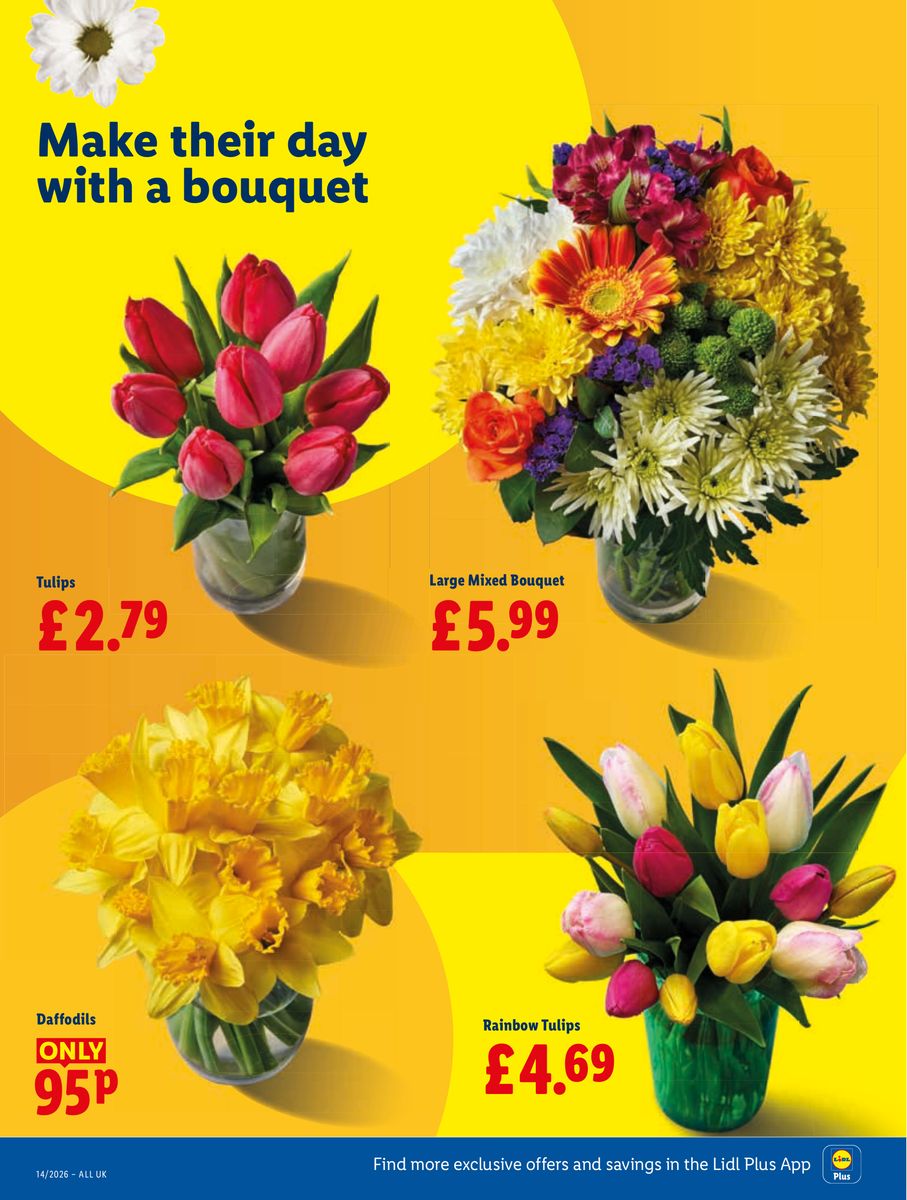 Lidl catalog page 28 — 2026-04-02 to 2026-08-04