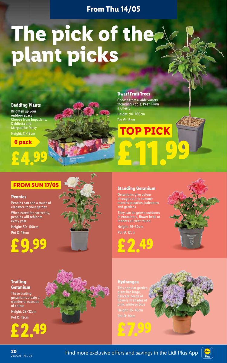 Lidl catalog page 22 — 2026-05-14 to 2026-05-20