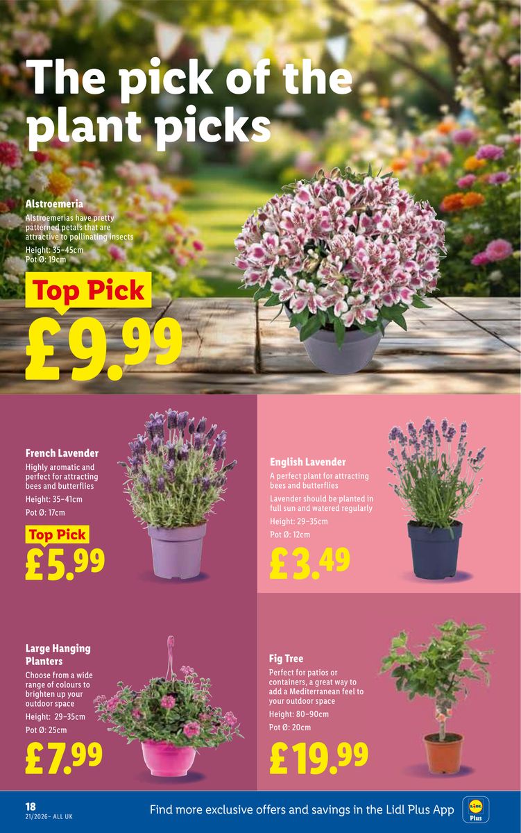 Lidl catalog page 22 — 2026-05-21 to 2026-05-27