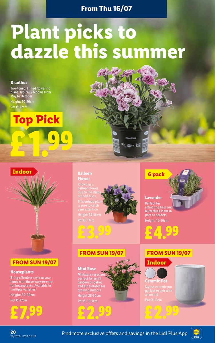 Lidl catalog page 22 — 2026-07-16 to 2026-07-22