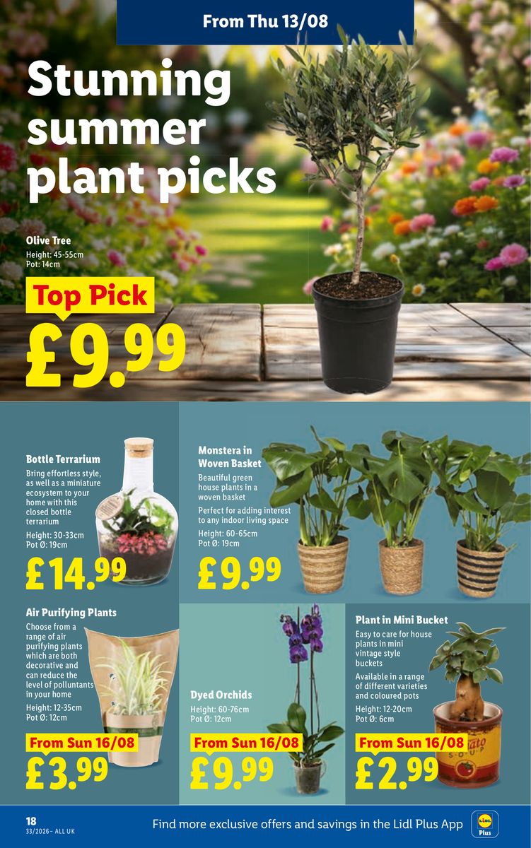 Lidl catalog page 20 — 2026-08-13 to 2026-08-19