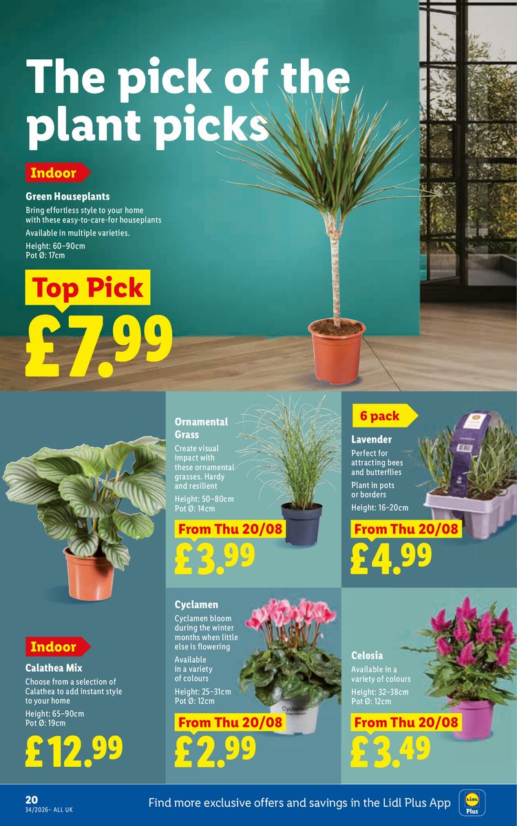 Lidl catalog page 24 — 2026-08-20 to 2026-08-26