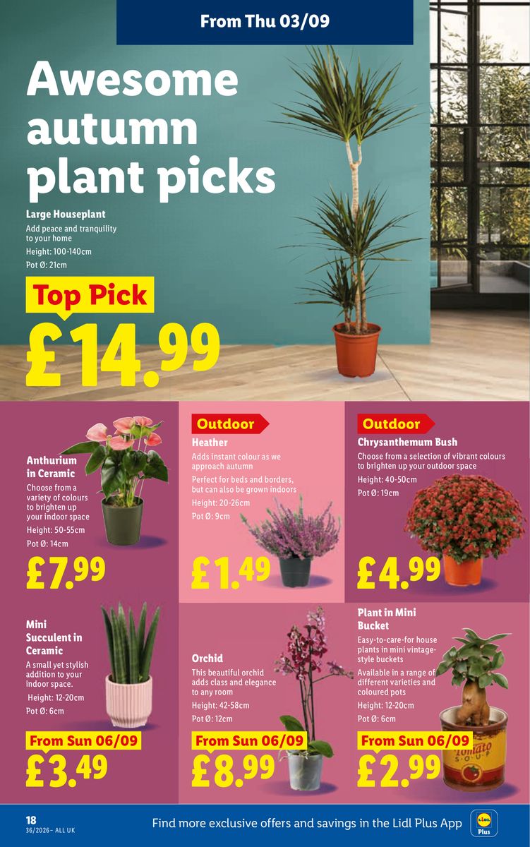 Lidl catalog page 20 — 2026-09-03 to 2026-09-09