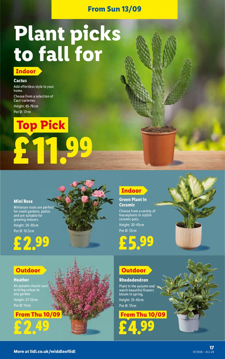 Lidl catalog page 19 — 2026-09-10 to 2026-09-16