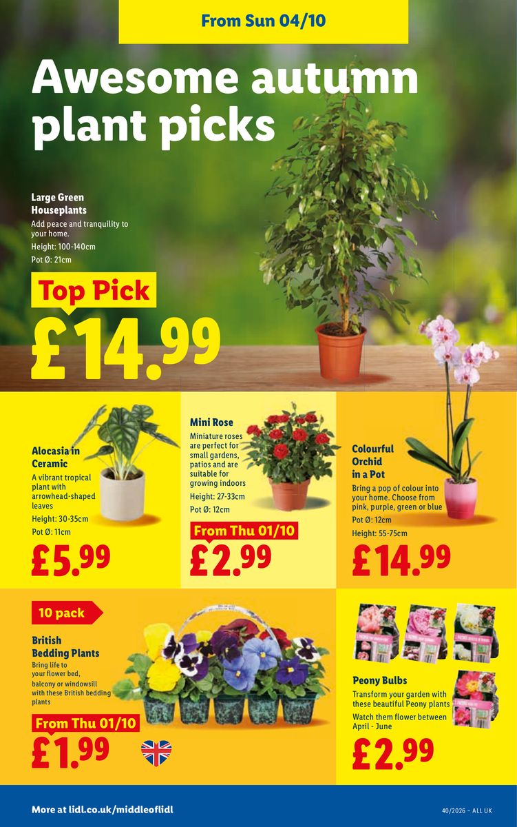 Lidl catalog page 32 — 2026-10-01 to 2026-10-07